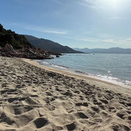 Cocon Chaleureux Bord De Plage Vue Sanguinaire * Ajaccio (Corsica)