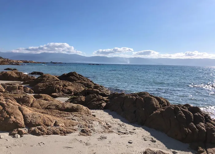 Daire Cocon Chaleureux Bord De Plage Vue Sanguinaire