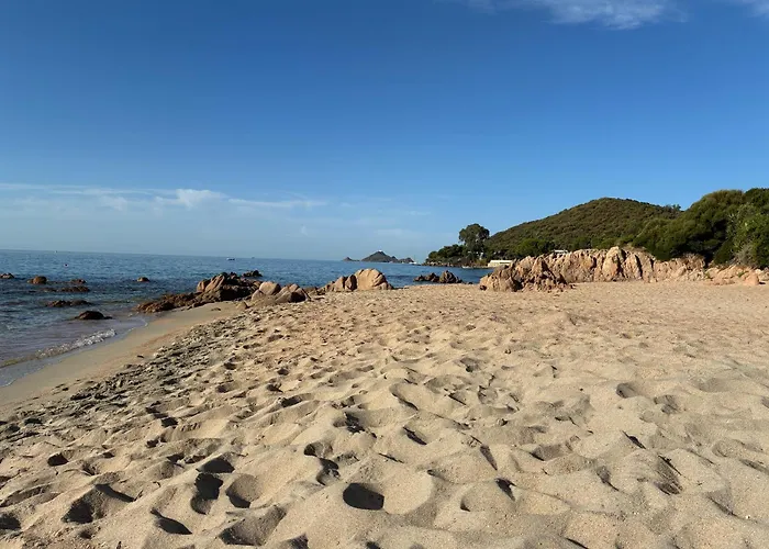 Daire Cocon Chaleureux Bord De Plage Vue Sanguinaire Ajaccio (Corsica)